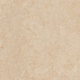 Grès Porcelaine Emaillé...