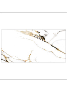 Mister Bâti|AMBIANCE 25x50