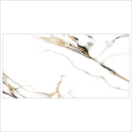 Mister Bâti|AMBIANCE 25x50