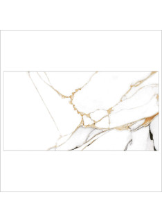 Mister Bâti|AMBIANCE 25x50