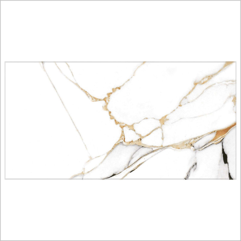 Mister Bâti|AMBIANCE 41x41