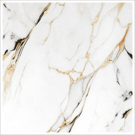 Mister Bâti|AMBIANCE 41x41