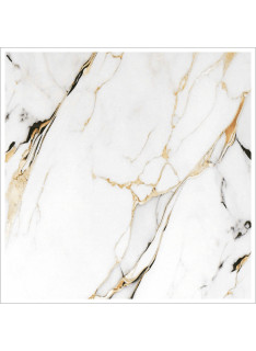 Mister Bâti|AMBIANCE 41x41