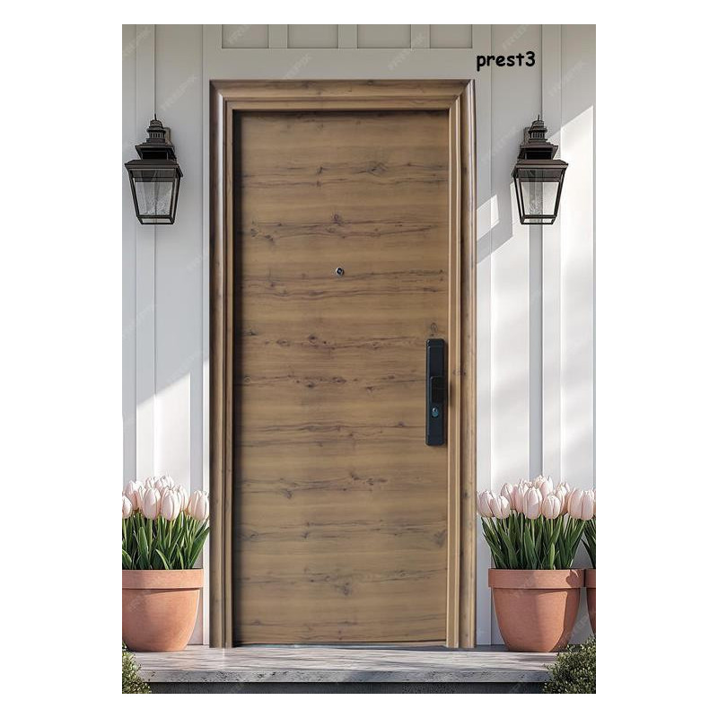 Mister Bâti|Porte Métal PREST3 1.20M
