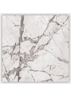 Mister Bâti|Tulip 60×60