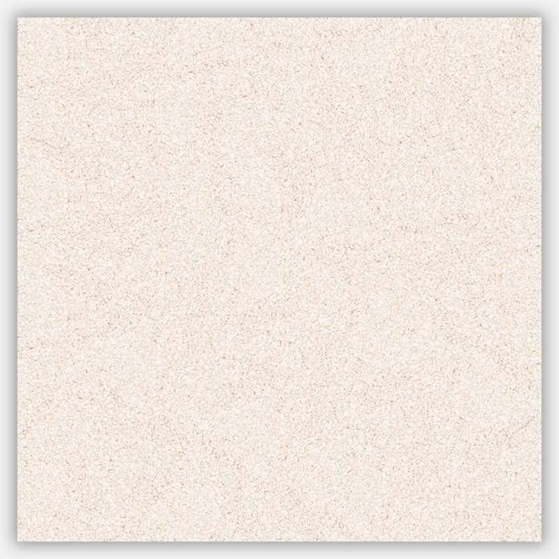 Mister Bâti|Mouchete 46×46