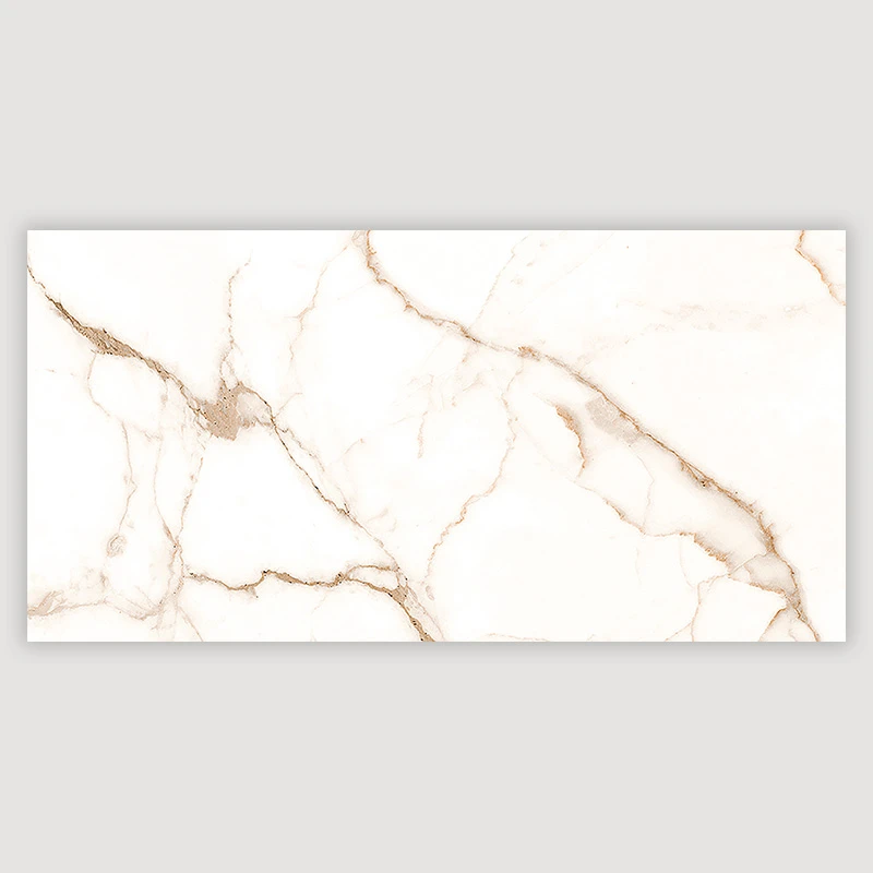 Mister Bâti|Zenit 30x60