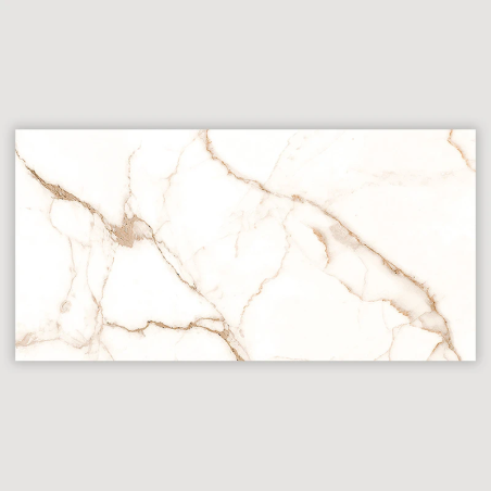 Mister Bâti|Zenit 30x60