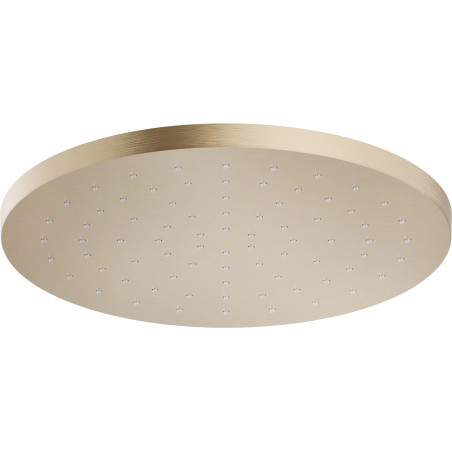 Mister Bâti|RAINSHOWER ø 250 mm MIELE BROSSE PVD