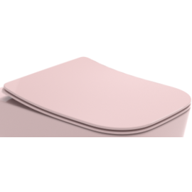 0001C9SYN09-abattant