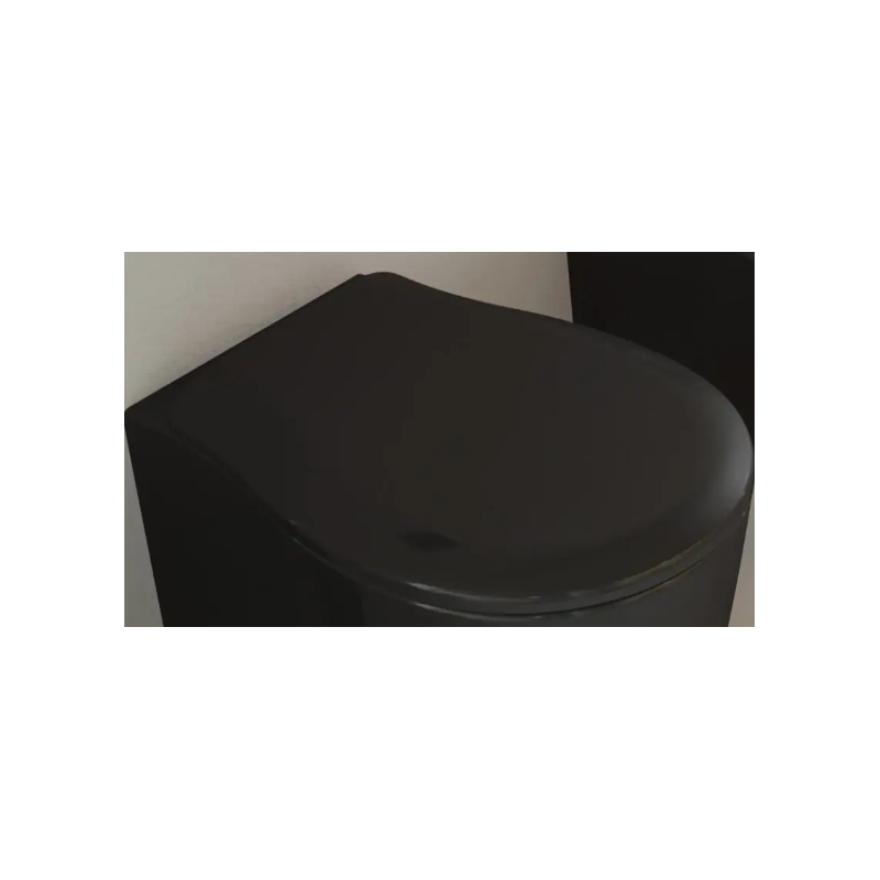 0001C9FO23-abattant2